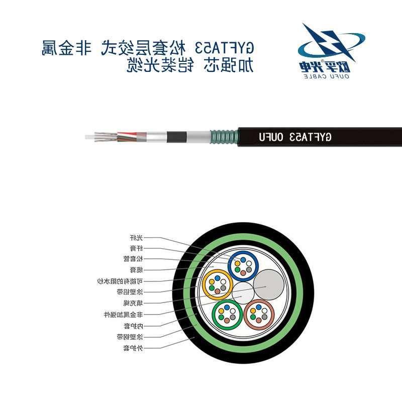 虹口区GYFTA53光缆